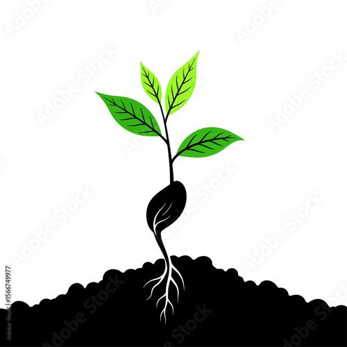 A young plant sprouts from a seed in the soil, isolated on white background