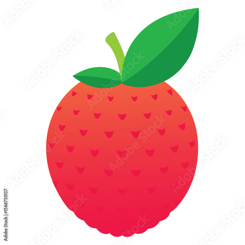 Lychee fruit on white background.