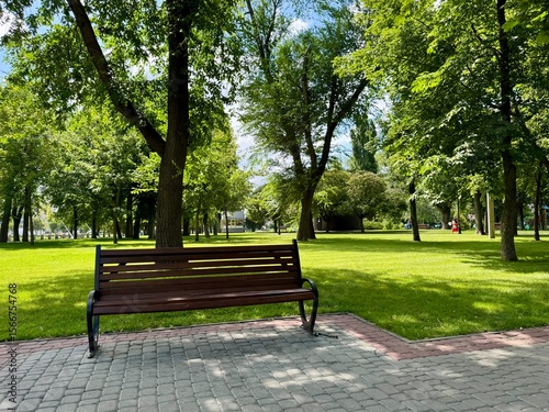 Fototapeta Naklejka Na Ścianę i Meble -  bench in the park