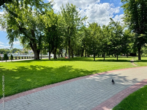 Fototapeta Naklejka Na Ścianę i Meble -  path in the park