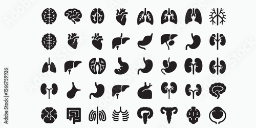 A collection of black and white anatomical organ icons displayed in a grid pattern on a white background