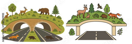 Wildlife crossing design illustrating how animals safely traverse highways in an eco-friendly manner in a natural setting