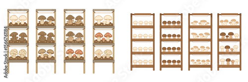 Mushroom cultivation setup in an indoor farm with multiple shelves displaying various mushroom species