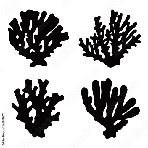 Coral Silhouette, The stunning silhouettes of various coral formations, elegantly captured in monochrome, provide a captivating glimpse into the diverse beauty of the underwater world.
