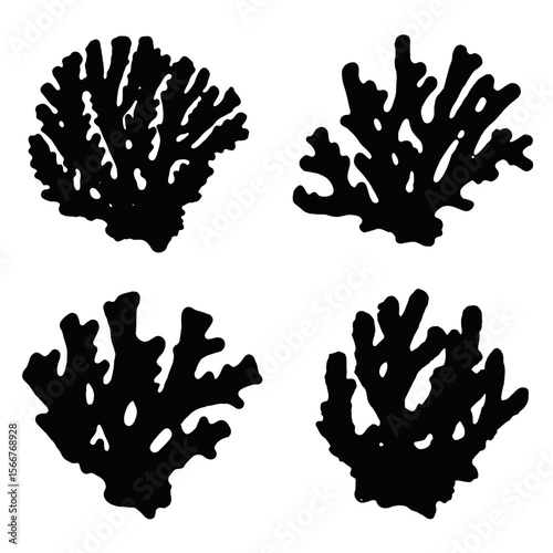 Coral Silhouette, The stunning silhouettes of various coral formations, elegantly captured in monochrome, provide a captivating glimpse into the diverse beauty of the underwater world.