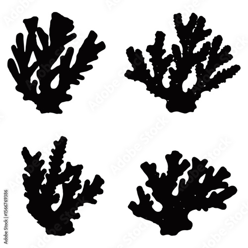 Coral Silhouette, The stunning silhouettes of various coral formations, elegantly captured in monochrome, provide a captivating glimpse into the diverse beauty of the underwater world.