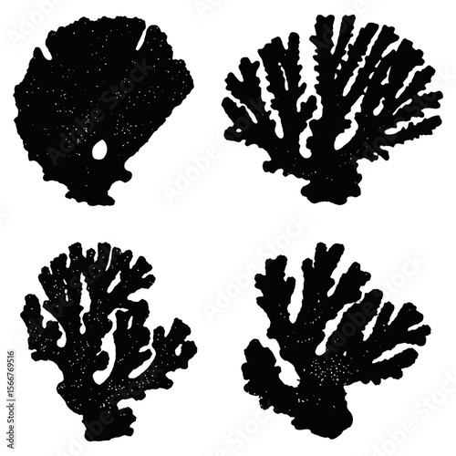 Coral Reef Illustration, An elegant silhouette of a coral reef showcasing the intricate, organic forms of underwater life.