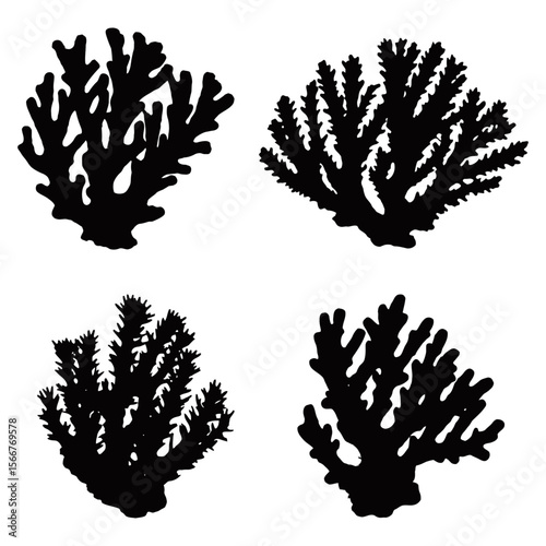 Coral Silhouette, The stunning silhouettes of various coral formations, elegantly captured in monochrome, provide a captivating glimpse into the diverse beauty of the underwater world.