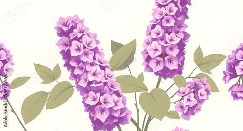 bouquet of lilac, lilac bouquet, lilac flowers, fresh lilac bouquet, purple lilac bouquet, lilac flower arrangement, lilac blossom bouquet, lilac bunch, spring lilac bouquet, fragrant lilac bouquet, l