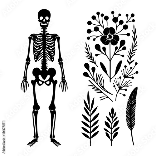 skeleton silhouette, skeleton vector