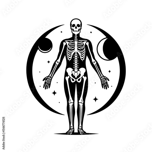 skeleton silhouette, skeleton vector
