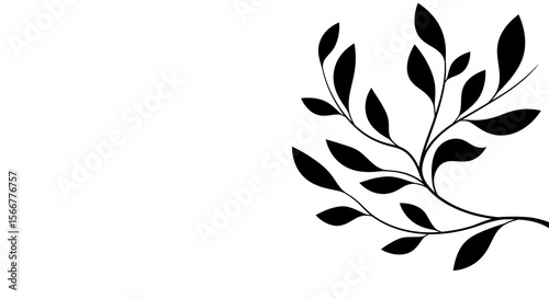 Elegant Black and White Floral Branch Illustration