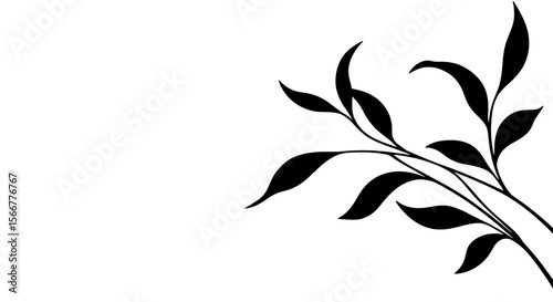 Elegant Black and White Botanical Illustration of Leaves