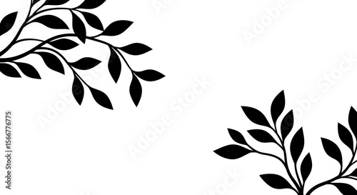 Elegant Black and White Floral Branch Illustration