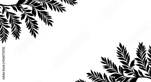 Elegant Black and White Floral Frame Illustration