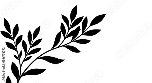 Elegant Black and White Botanical Illustration Leaves Branch