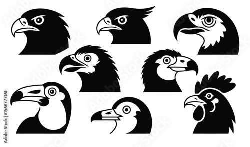 Collection of detailed black and white bird head silhouettes featuring eagle, hawk, parrot, rooster, and other species on white background