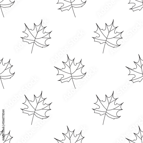 Seamless pattern of outline leaves. Maple foliage doodle design. Autumn. Vector.