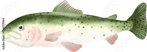 Quadro su tela watercolor trout fish