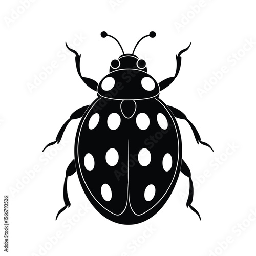 vector illustration of a ladybug