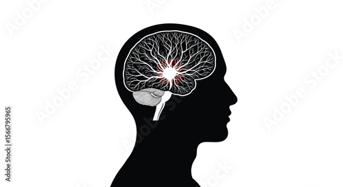 Understanding the complexities of neurological disorders and the brain's intricate functioning in human health