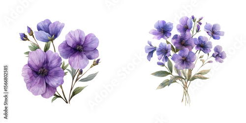 purple flowers watercolor vector illustration