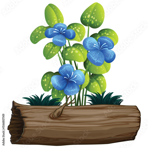 flowers , home flowers , with wood and grass flowers