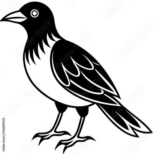 Minimal Shadow Bird Illustration
