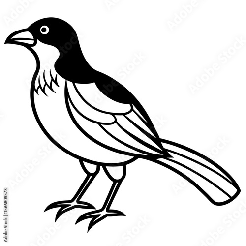 Minimal Shadow Bird Illustration
