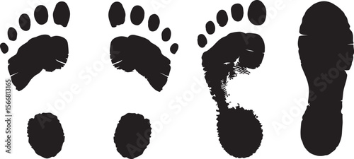 Black Vector Silhouettes of Four Different Footprints Showing Various Sizes and Shapes on White Background Traced Footprints Set