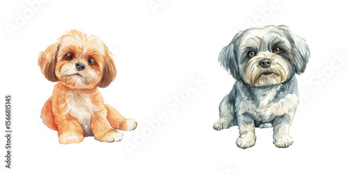 shih tzu watercolor vector illustration