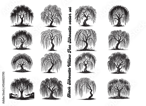 Black Silhouette Willow Tree with Hanging Branches Vector for Nature and Landscape Designs