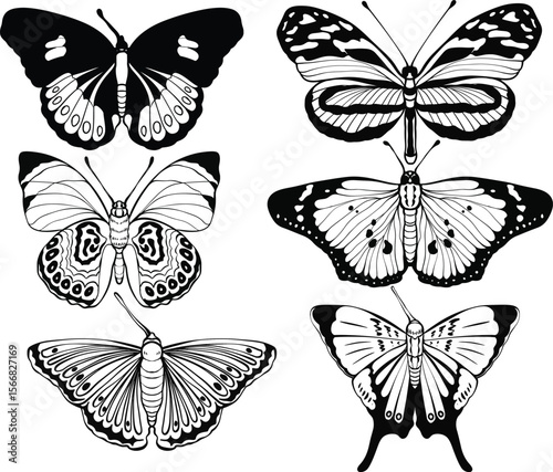 High quality hand drawn butterfly illustration set