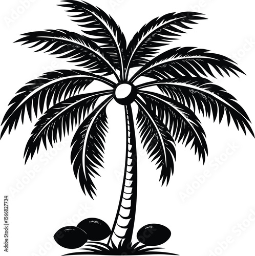 A stylized black and white silhouette of a mature palm tree with lush fronds and coconuts at its base on a white background