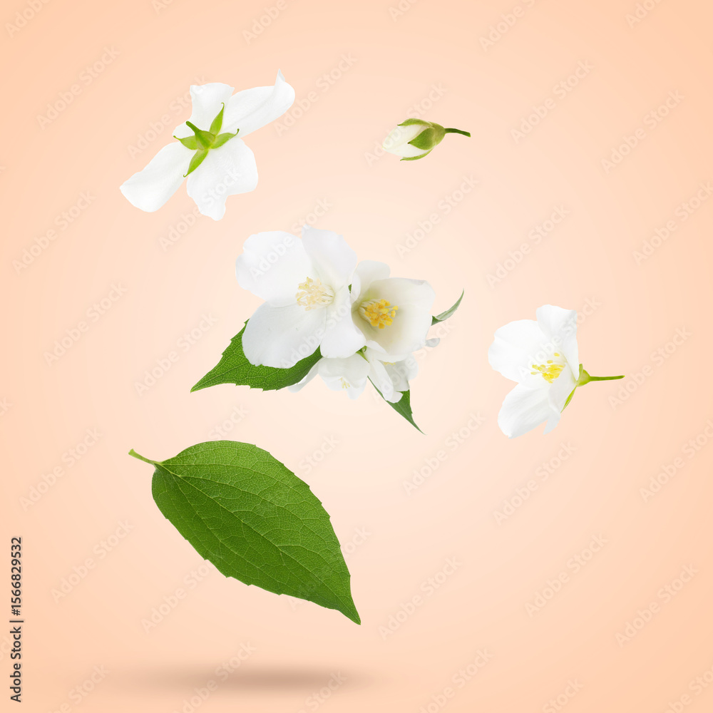 Obraz premium Beautiful jasmine flowers flying against pink beige background