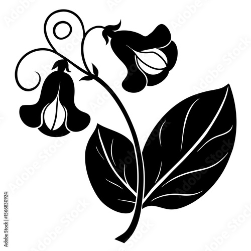 Sweet Pea  flower vector with a clean white background, perfect for digital, print, and graphic design projects.
