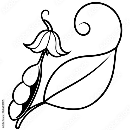 Sweet Pea  flower vector with a clean white background, perfect for digital, print, and graphic design projects.
