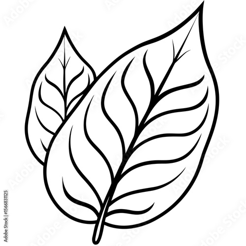 Lush Leaf Illustration