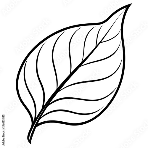 Lush Leaf Illustration