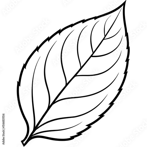 Lush Leaf Illustration