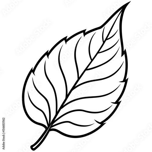 Lush Leaf Illustration