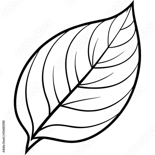 Lush Leaf Illustration