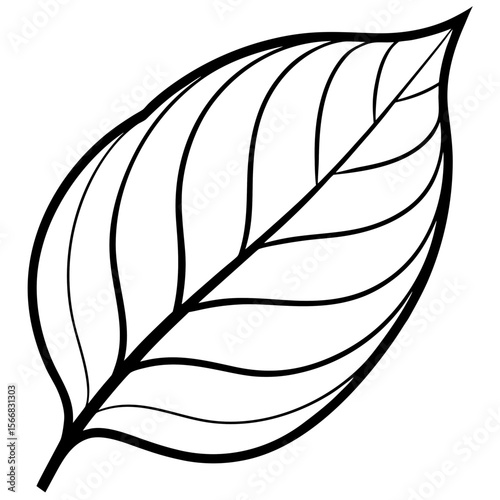 Lush Leaf Illustration