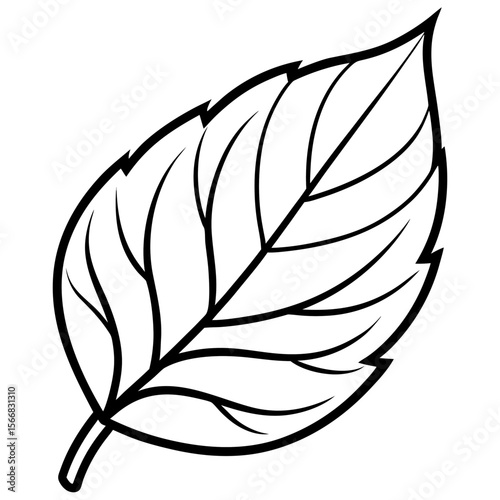 Lush Leaf Illustration