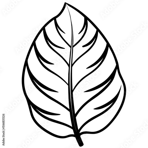 Lush Leaf Illustration