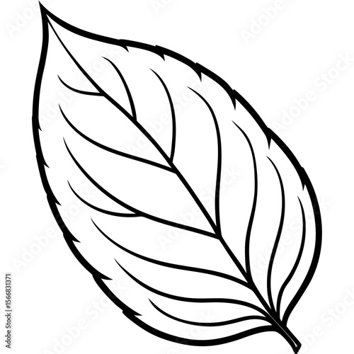 Lush Leaf Illustration