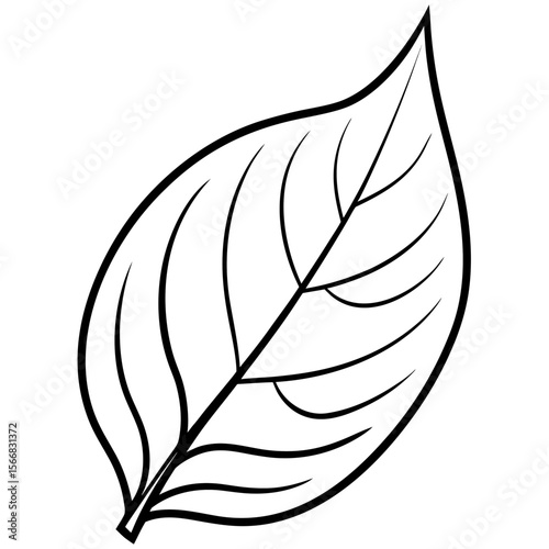 Lush Leaf Illustration