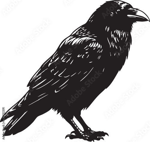 "Raven Crow Vector Set – Vintage Gothic Bird Illustrations, Dark Forest Clipart, Mysterious Black Birds Art for Tattoos, Halloween & Designs"