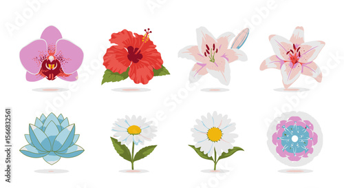 Vibrant collection of eight diverse flowers: orchid, hibiscus, lilies, lotus, daisies, and a stylized floral design.