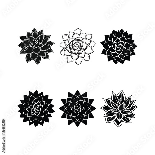 Collection of Six Black and White Succulent Plant Silhouettes on White Background